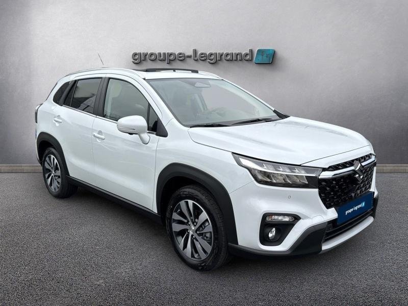 suzuki - Visuel 2